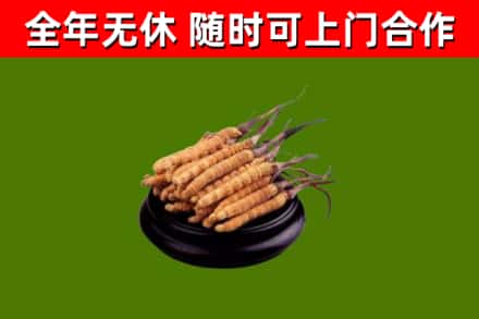 雷山烟酒回收冬虫夏草.jpg